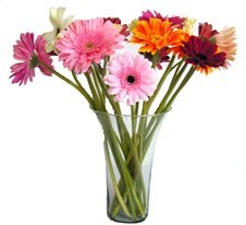 SKU 45 Beautiful Gerberas on glass vase